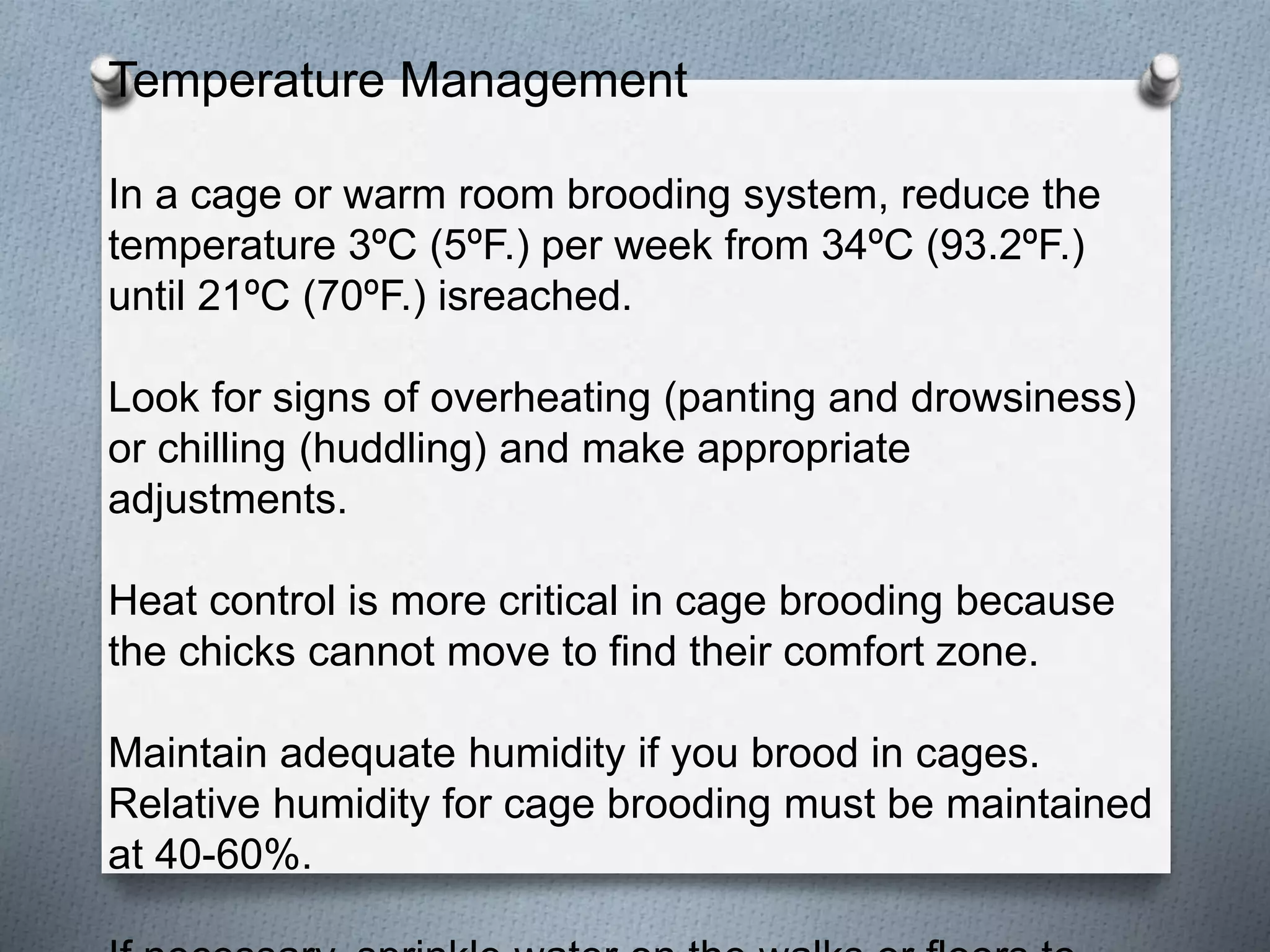 Brooding and management | PPTX