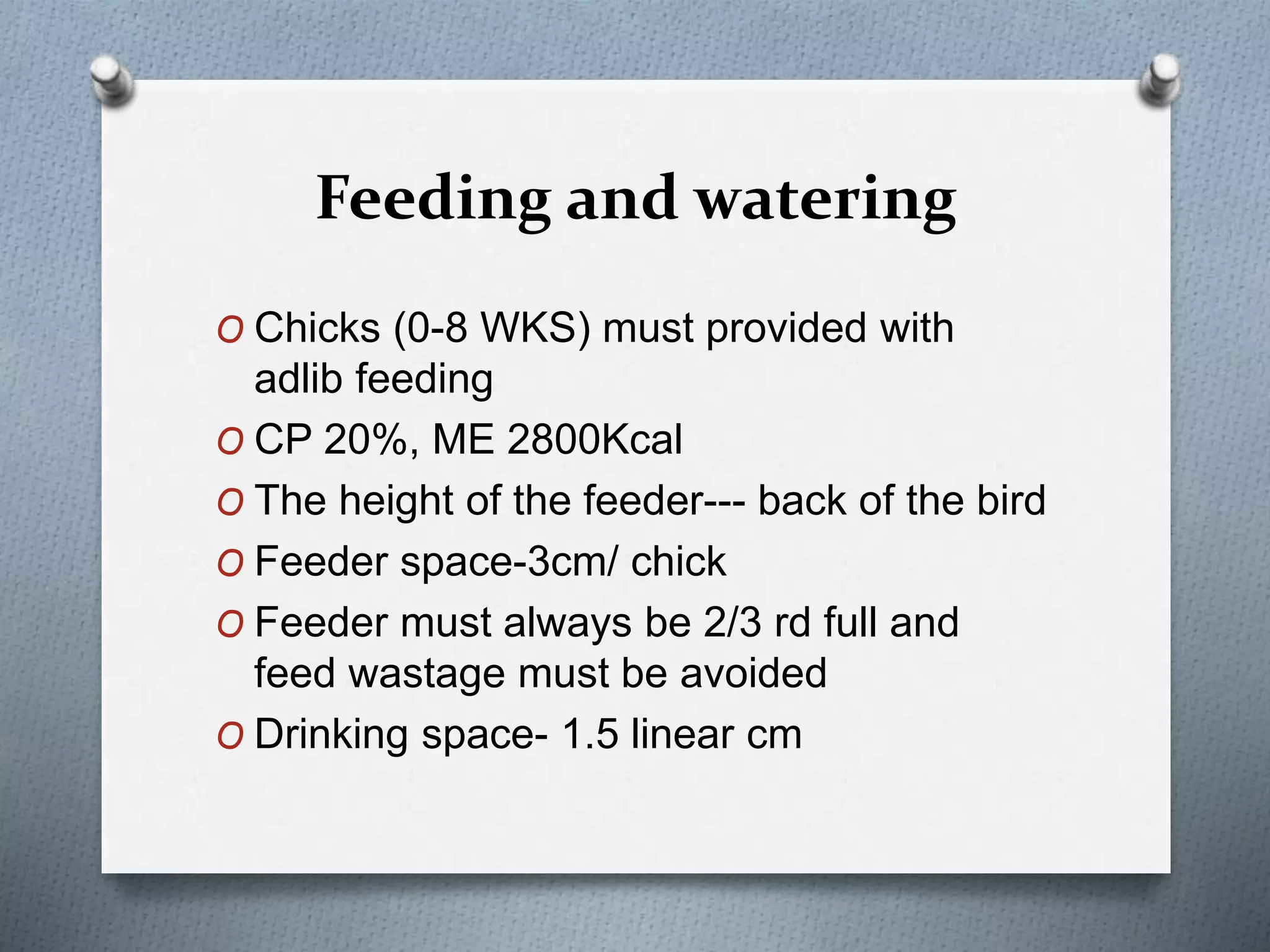 Brooding and management | PPTX