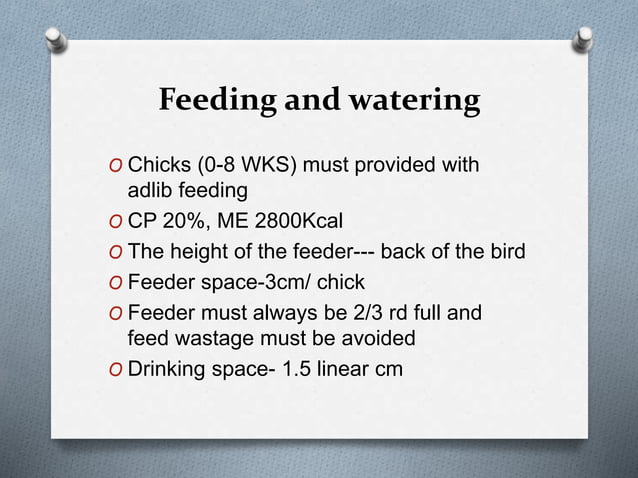 Brooding and management | PPTX