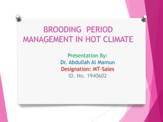 BROODING PERIOD
MANAGEMENT IN HOT CLIMATE
Presentation By:
Dr. Abdullah Al Mamun
Designation: MT-Sales
ID. No. 1940602
 
