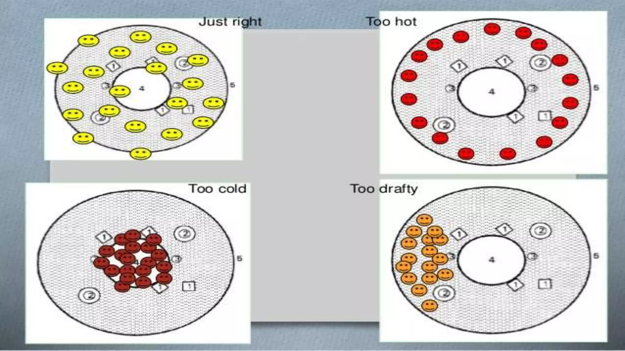 Basic Brooding house management | PPTX