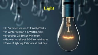 Light
 In Summer season 2-3 Watt/Chicks
 In winter season 4-6 Watt/Chicks
 Brooding 25-30 Lux Minimum
 Grower to sell out 5-10 lux minimum
 Time of lighting 23 hours at first day
 