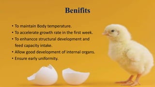 Benifits
• To maintain Body temperature.
• To accelerate growth rate in the first week.
• To enhancce structural development and
feed capacity intake.
• Allow good development of internal organs.
• Ensure early uniformity.
 