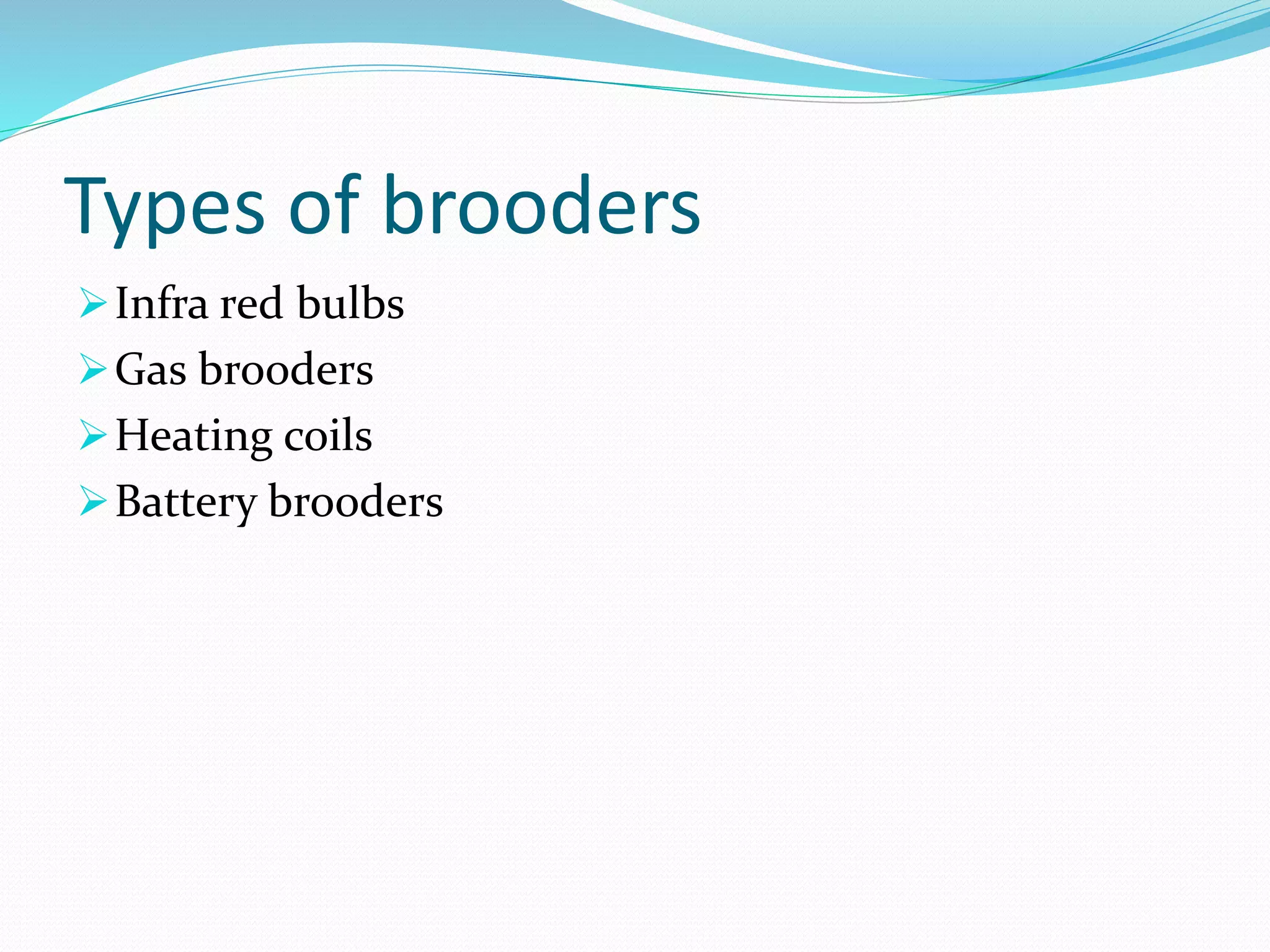 Types of brooders
Infra red bulbs
Gas brooders
Heating coils
Battery brooders
 