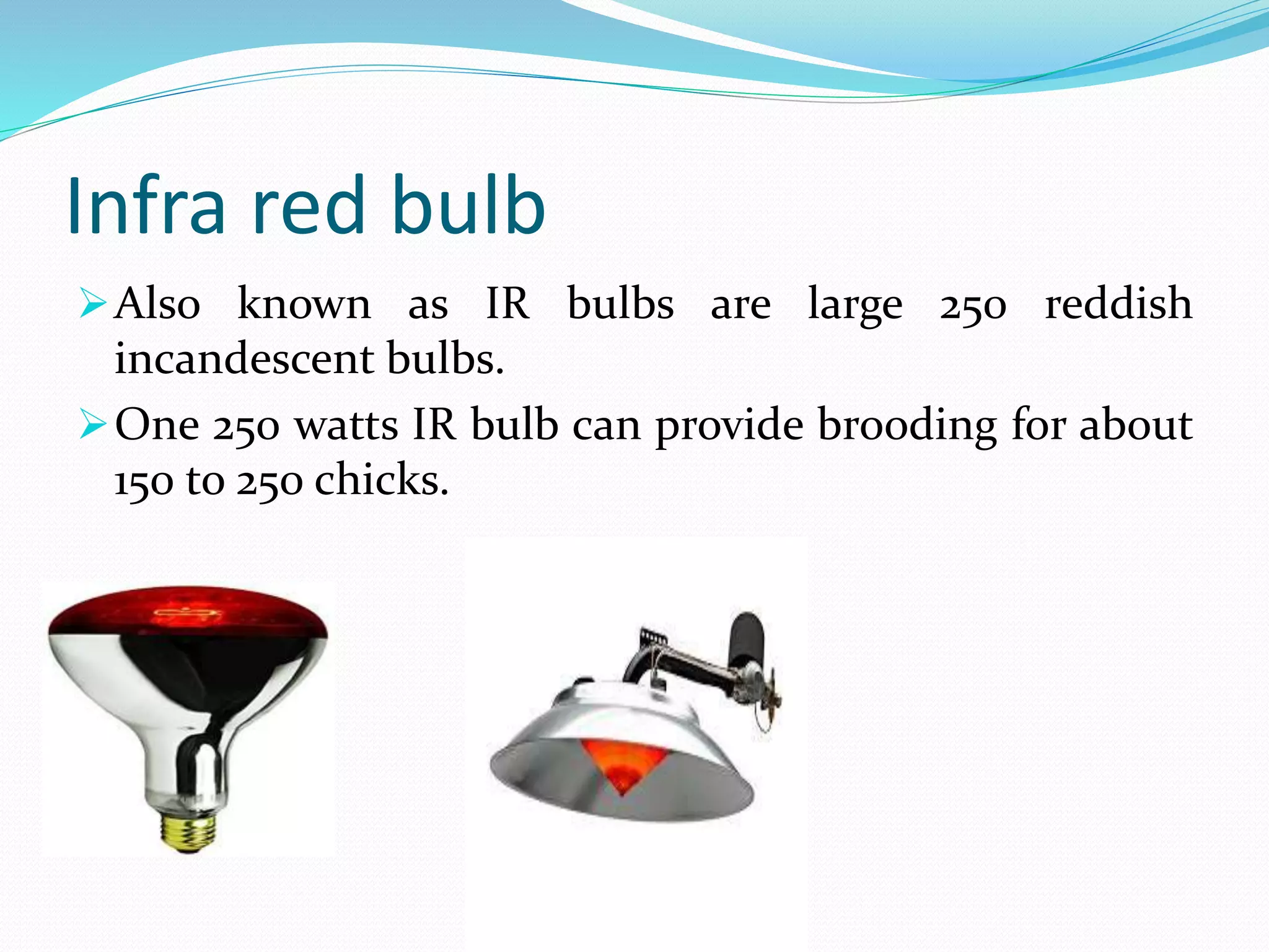 Infra red bulb
Also known as IR bulbs are large 250 reddish
incandescent bulbs.
One 250 watts IR bulb can provide brooding for about
150 to 250 chicks.
 