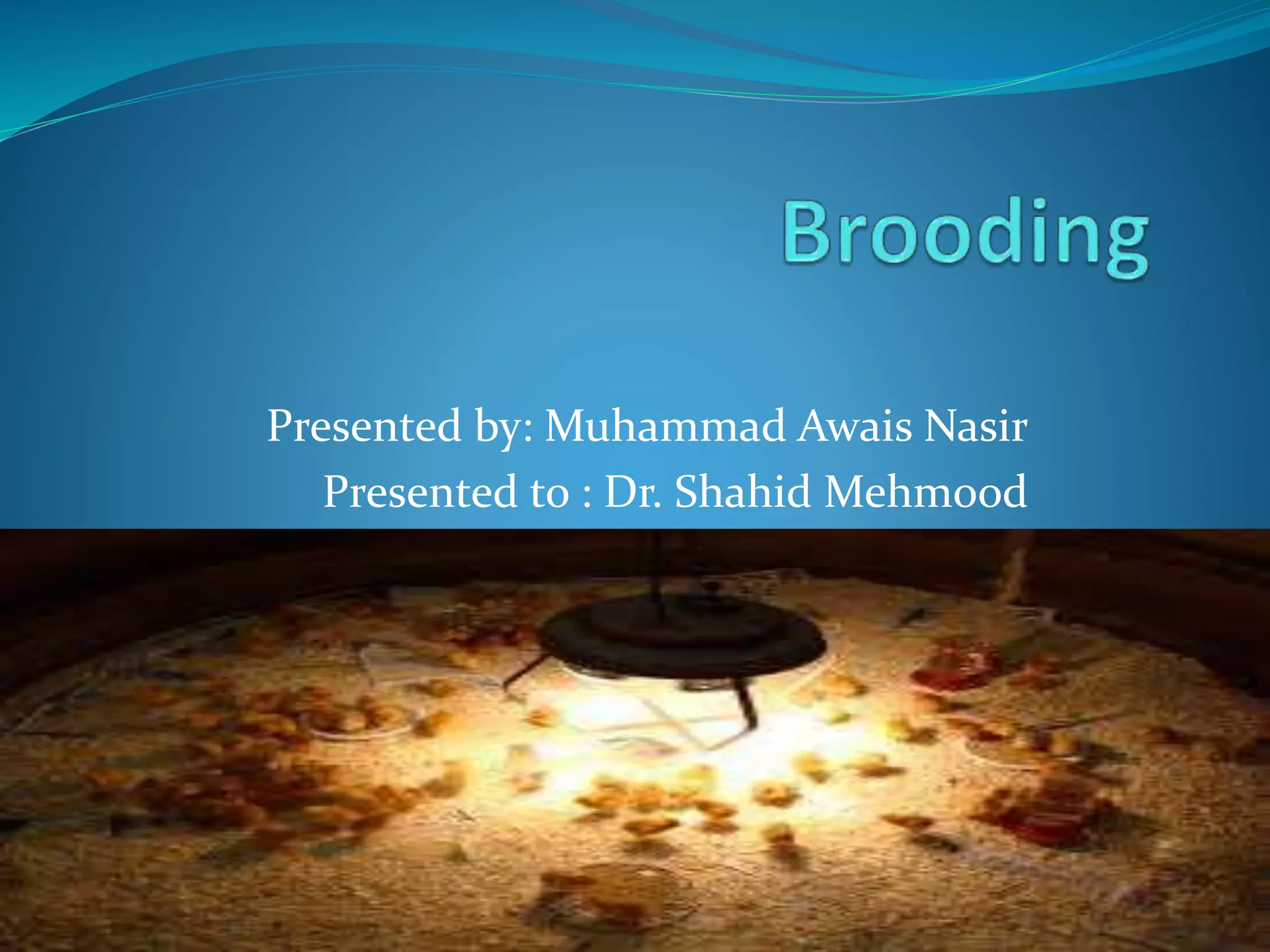 Presented by: Muhammad Awais Nasir
Presented to : Dr. Shahid Mehmood
 