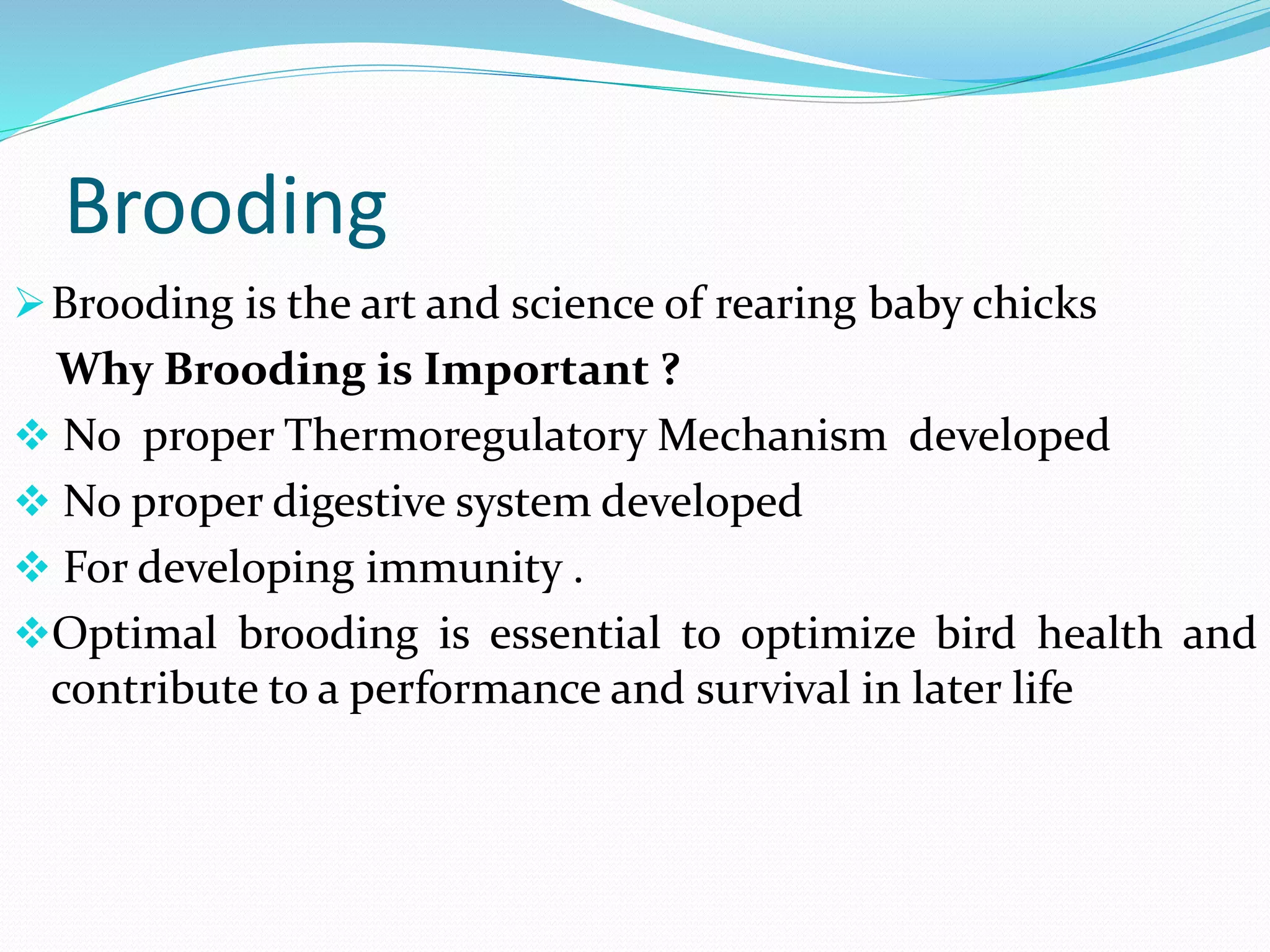 Brooding
Brooding is the art and science of rearing baby chicks
Why Brooding is Important ?
 No proper Thermoregulatory Mechanism developed
 No proper digestive system developed
 For developing immunity .
Optimal brooding is essential to optimize bird health and
contribute to a performance and survival in later life
 