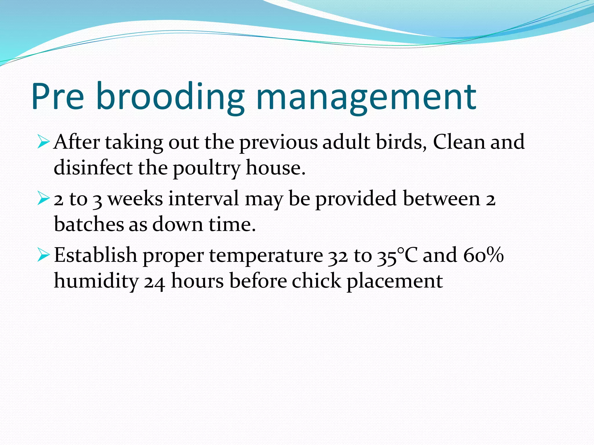 Pre brooding management
After taking out the previous adult birds, Clean and
disinfect the poultry house.
2 to 3 weeks interval may be provided between 2
batches as down time.
Establish proper temperature 32 to 35°C and 60%
humidity 24 hours before chick placement
 