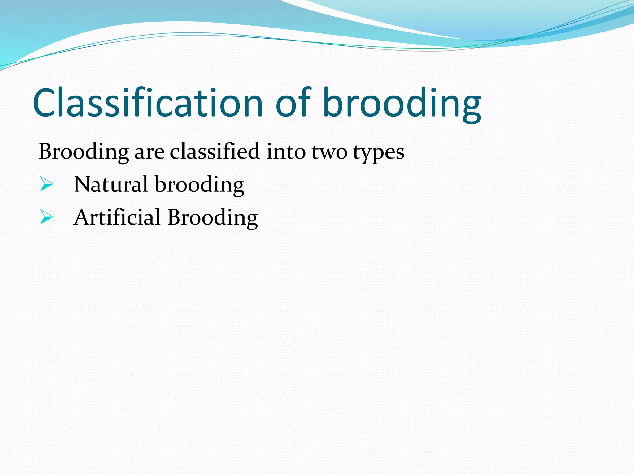 Classification of brooding
Brooding are classified into two types
 Natural brooding
 Artificial Brooding
 