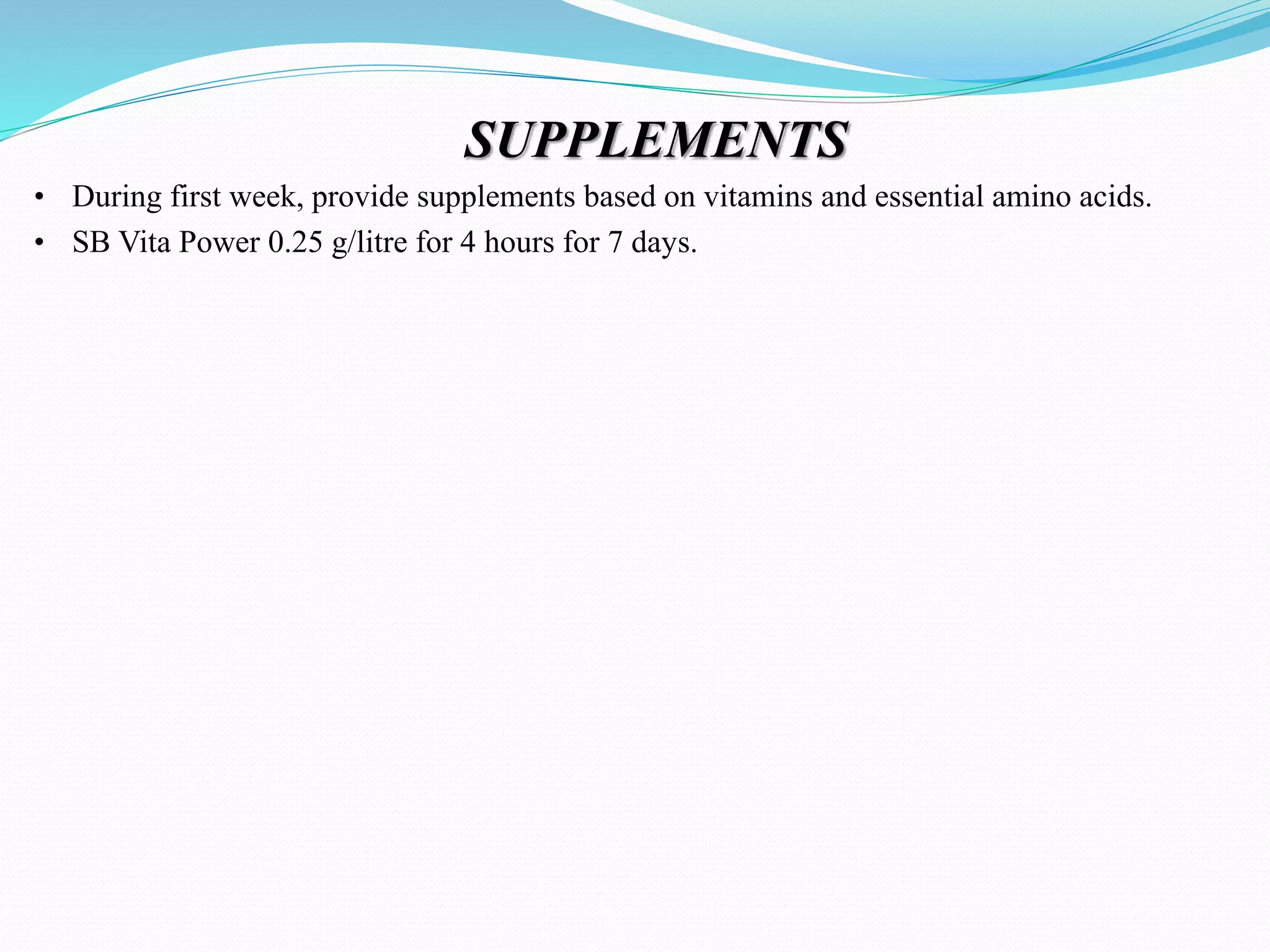 "Brooding Management of Layers Chicks" | PPTX