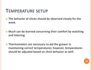 Brooding temperature practices of the broilers | PPTX