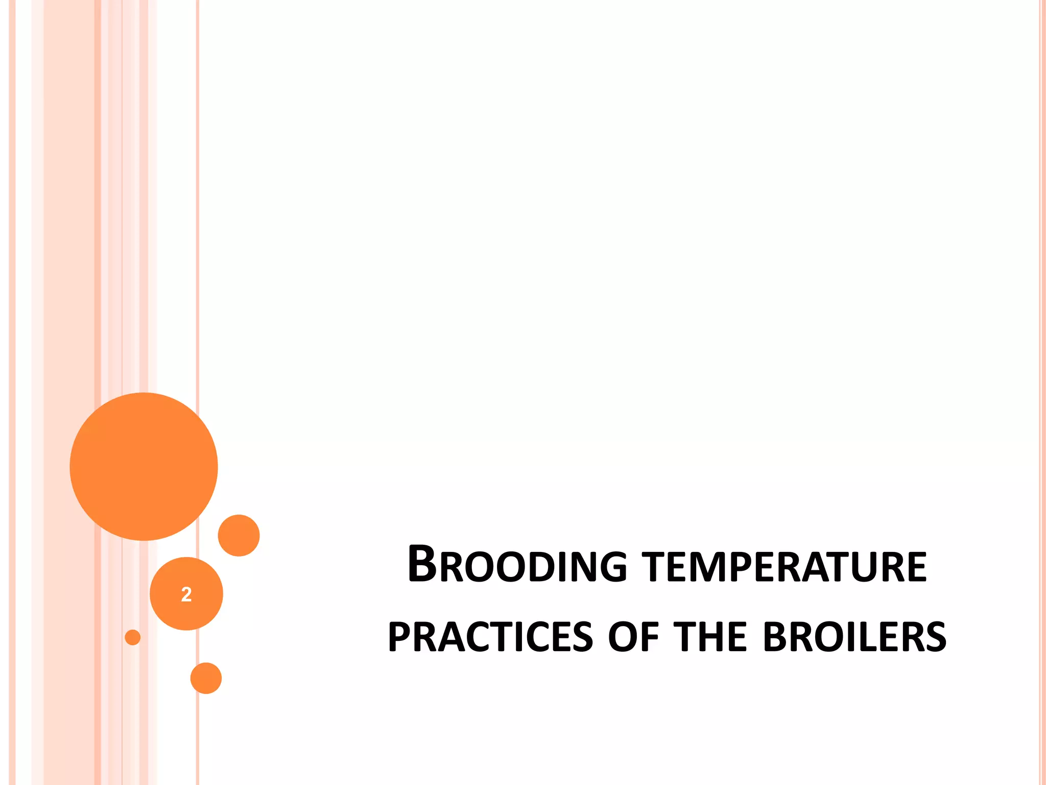 Brooding temperature practices of the broilers | PPTX