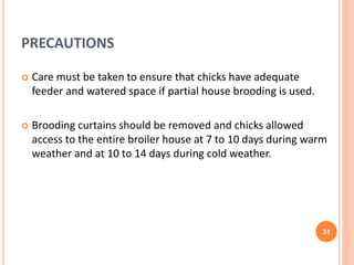 Brooding temperature practices of the broilers | PPTX