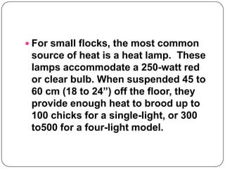 Brooding temperatures for | PPT
