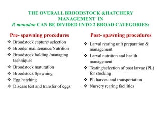 THE OVERALL BROODSTOCK &HATCHERY
MANAGEMENT IN
P. monodon CAN BE DIVIDED INTO 2 BROAD CATEGORIES:
Pre- spawning procedures
 Broodstock capture/ selection
 Brooder maintenance/Nutrition
 Broodstock holding /managing
techniques
 Broodstock maturation
 Broodstock Spawning
 Egg hatching
 Disease test and transfer of eggs
Post- spawning procedures
 Larval rearing unit preparation &
management
 Larval nutrition and health
management
 Testing/selection of post larvae (PL)
for stocking
 PL harvest and transportation
 Nursery rearing facilities
 