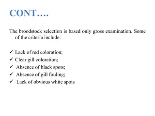 CONT….
The broodstock selection is based only gross examination. Some
of the criteria include:
 Lack of red coloration;
 Clear gill coloration;
 Absence of black spots;
 Absence of gill fouling;
 Lack of obvious white spots
 