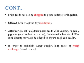 CONT..
• Fresh feeds need to be chopped to a size suitable for ingestion.
• Offered throughout the day (six times).
• Alternatively artificial/formulated feeds with vitamin, mineral,
pigment (astaxanthin or paprika), immunostimulant and PUFA
supplements may also be offered to ensure good egg quality.
• In order to maintain water quality, high rates of water
exchange should be used.
 