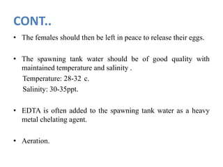 CONT..
• The females should then be left in peace to release their eggs.
• The spawning tank water should be of good quality with
maintained temperature and salinity .
Temperature: 28-32 c.
Salinity: 30-35ppt.
• EDTA is often added to the spawning tank water as a heavy
metal chelating agent.
• Aeration.
 