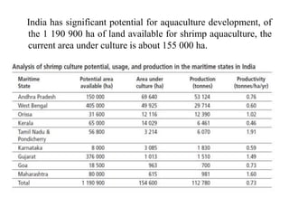 India has significant potential for aquaculture development, of
the 1 190 900 ha of land available for shrimp aquaculture, the
current area under culture is about 155 000 ha.
 