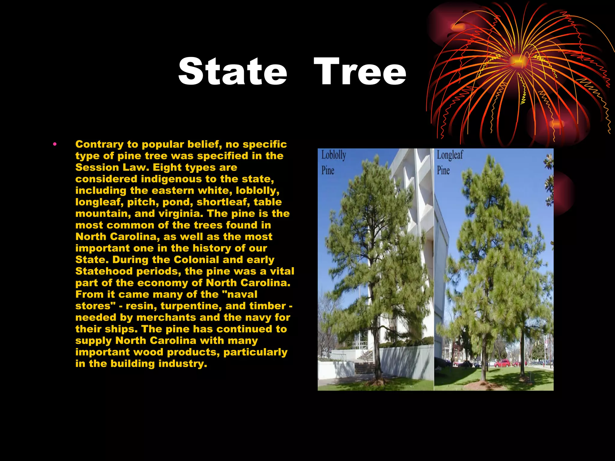 State  Tree Contrary to popular belief, no specific type of pine tree was specified in the Session Law. Eight types are considered indigenous to the state, including the eastern white, loblolly, longleaf, pitch, pond, shortleaf, table mountain, and virginia. The pine is the most common of the trees found in North Carolina, as well as the most important one in the history of our State. During the Colonial and early Statehood periods, the pine was a vital part of the economy of North Carolina. From it came many of the "naval stores" - resin, turpentine, and timber - needed by merchants and the navy for their ships. The pine has continued to supply North Carolina with many important wood products, particularly in the building industry.  
