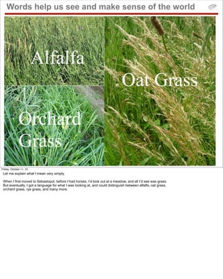 Words help us see and make sense of the world
Alfalfa
Orchard
Grass
Oat Grass
Friday, October 11, 13
Let me explain what I...