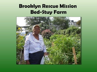 Brooklyn Rescue Mission  Bed-Stuy Farm 