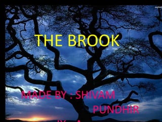THE BROOK
MADE BY : SHIVAM
PUNDHIR
 