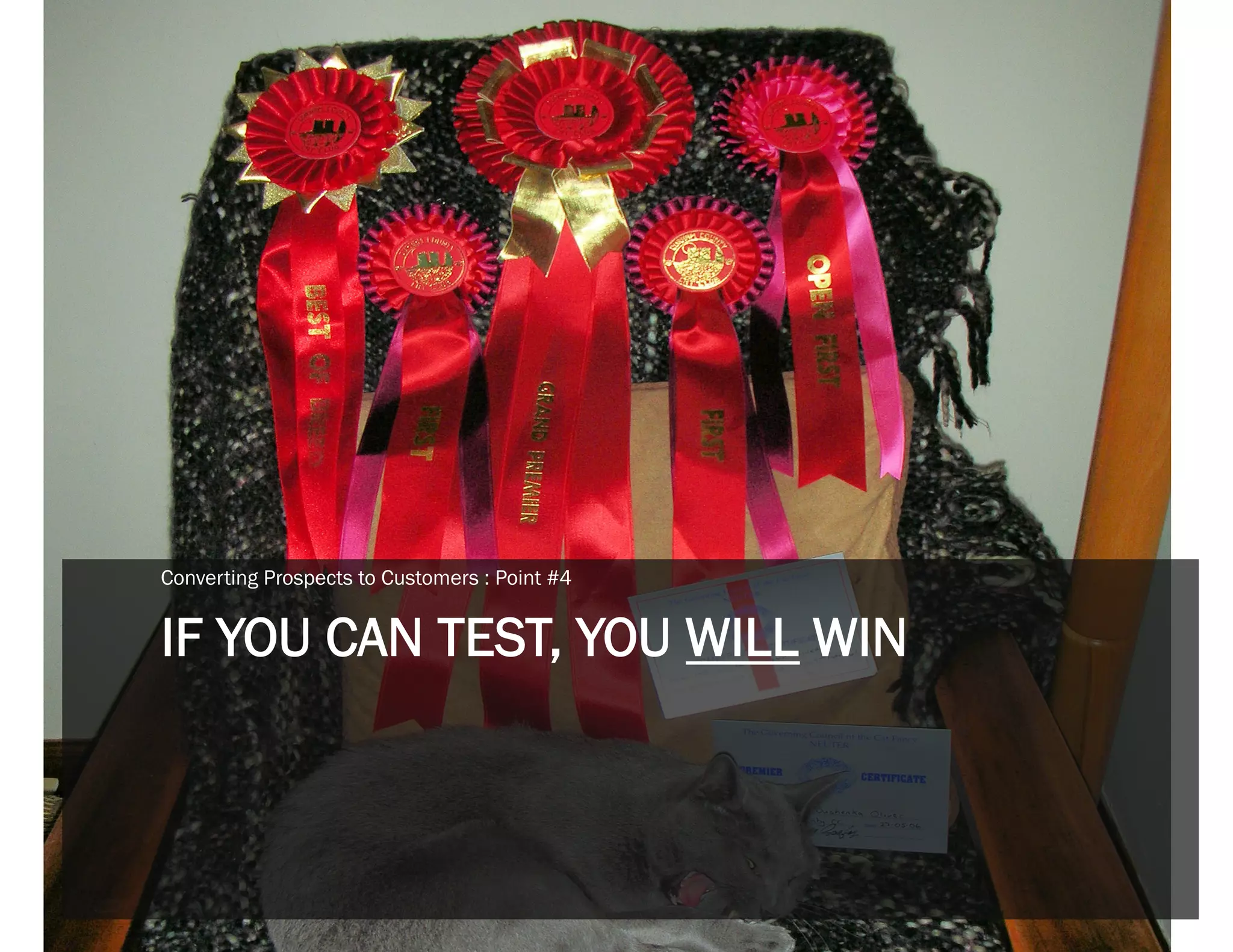 Converting Prospects to Customers : Point #4


IF YOU CAN TEST, YOU WILL WIN
 