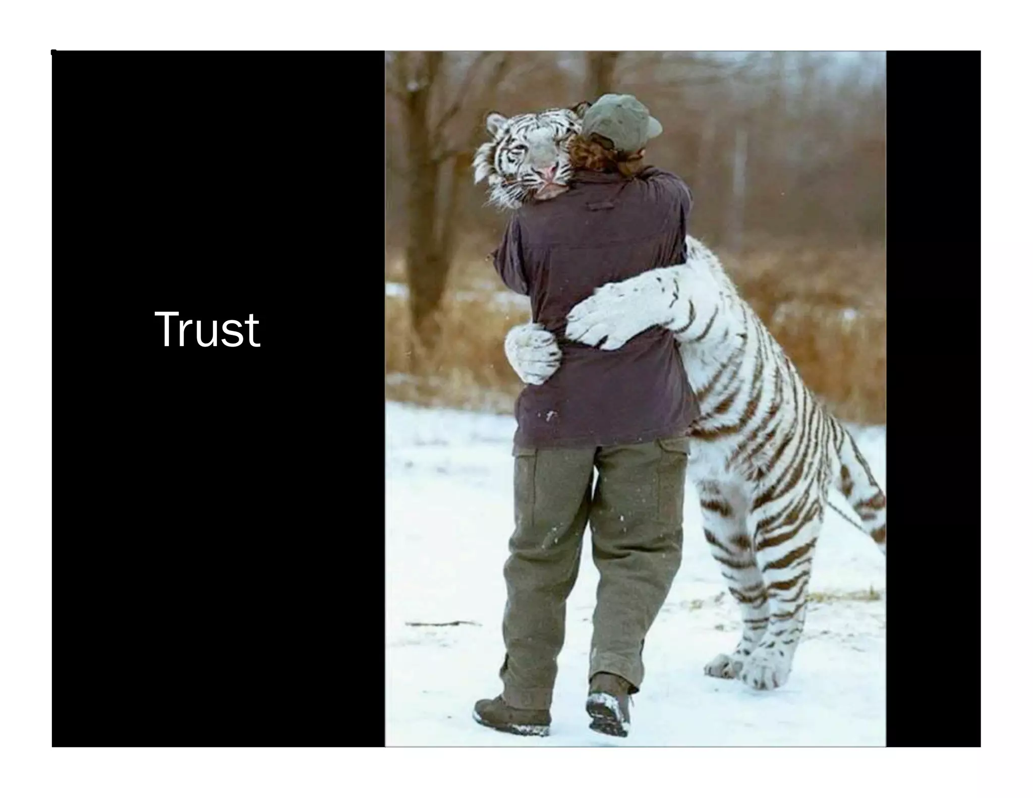 Trust
 