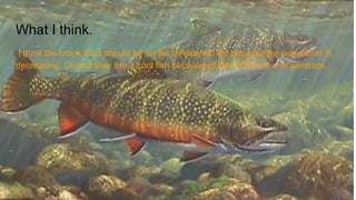 What I think.
I think the brook trout should be on the threatened list because the population is
decreasing. Overall they are a cool fish because of their different charateristics.
 