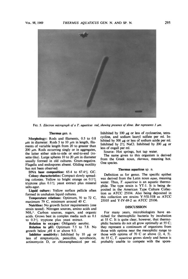 Thermus aquaticus gen. n. and sp. n., a nonsporulating extreme thermo…