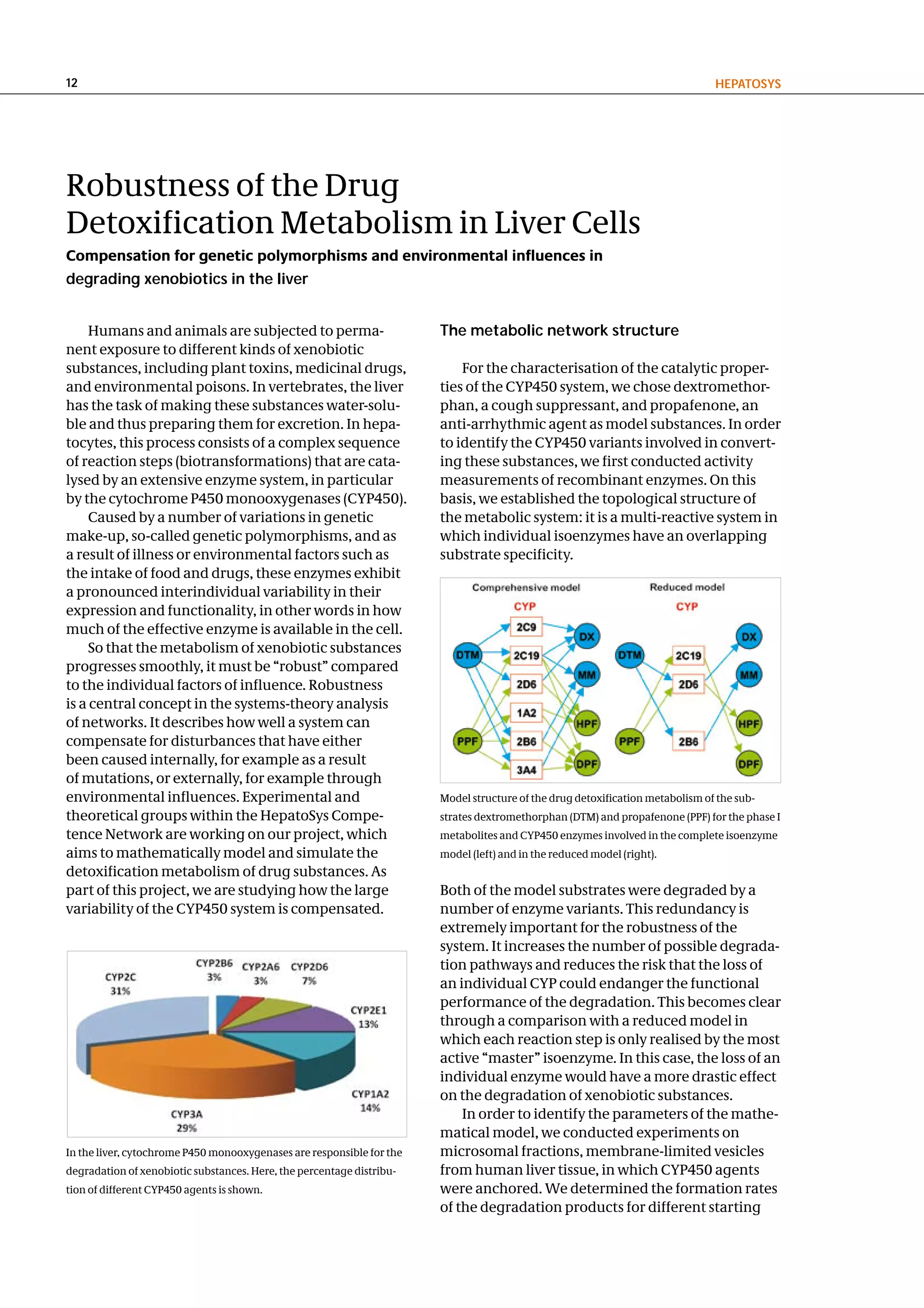 12                                                                                                                             hePatoSyS




Robustness of the Drug
Detoxification Metabolism in Liver Cells
Compensation for genetic polymorphisms and environmental influences in
degrading xenobiotics in the liver


     Humans and animals are subjected to perma-                        the metabolic network structure
nent exposure to different kinds of xenobiotic
substances, including plant toxins, medicinal drugs,                       For the characterisation of the catalytic proper-
and environmental poisons. In vertebrates, the liver                   ties of the CYP450 system, we chose dextromethor-
has the task of making these substances water-solu-                    phan, a cough suppressant, and propafenone, an
ble and thus preparing them for excretion. In hepa-                    anti-arrhythmic agent as model substances. In order
tocytes, this process consists of a complex sequence                   to identify the CYP450 variants involved in convert-
of reaction steps (biotransformations) that are cata-                  ing these substances, we first conducted activity
lysed by an extensive enzyme system, in particular                     measurements of recombinant enzymes. On this
by the cytochrome P450 monooxygenases (CYP450).                        basis, we established the topological structure of
     Caused by a number of variations in genetic                       the metabolic system: it is a multi-reactive system in
make-up, so-called genetic polymorphisms, and as                       which individual isoenzymes have an overlapping
a result of illness or environmental factors such as                   substrate specificity.
the intake of food and drugs, these enzymes exhibit
a pronounced interindividual variability in their
expression and functionality, in other words in how
much of the effective enzyme is available in the cell.
     So that the metabolism of xenobiotic substances
progresses smoothly, it must be “robust” compared
to the individual factors of influence. Robustness
is a central concept in the systems-theory analysis
of networks. It describes how well a system can
compensate for disturbances that have either
been caused internally, for example as a result
of mutations, or externally, for example through
environmental influences. Experimental and                             Model structure of the drug detoxification metabolism of the sub-
theoretical groups within the HepatoSys Compe-                         strates dextromethorphan (DTM) and propafenone (PPF) for the phase I
tence Network are working on our project, which                        metabolites and CYP450 enzymes involved in the complete isoenzyme
aims to mathematically model and simulate the                          model (left) and in the reduced model (right).
detoxification metabolism of drug substances. As
part of this project, we are studying how the large                    Both of the model substrates were degraded by a
variability of the CYP450 system is compensated.                       number of enzyme variants. This redundancy is
                                                                       extremely important for the robustness of the
                                                                       system. It increases the number of possible degrada-
                                                                       tion pathways and reduces the risk that the loss of
                                                                       an individual CYP could endanger the functional
                                                                       performance of the degradation. This becomes clear
                                                                       through a comparison with a reduced model in
                                                                       which each reaction step is only realised by the most
                                                                       active “master” isoenzyme. In this case, the loss of an
                                                                       individual enzyme would have a more drastic effect
                                                                       on the degradation of xenobiotic substances.
                                                                           In order to identify the parameters of the mathe-
                                                                       matical model, we conducted experiments on
In the liver, cytochrome P450 monooxygenases are responsible for the   microsomal fractions, membrane-limited vesicles
degradation of xenobiotic substances. Here, the percentage distribu-   from human liver tissue, in which CYP450 agents
tion of different CYP450 agents is shown.                              were anchored. We determined the formation rates
                                                                       of the degradation products for different starting
 