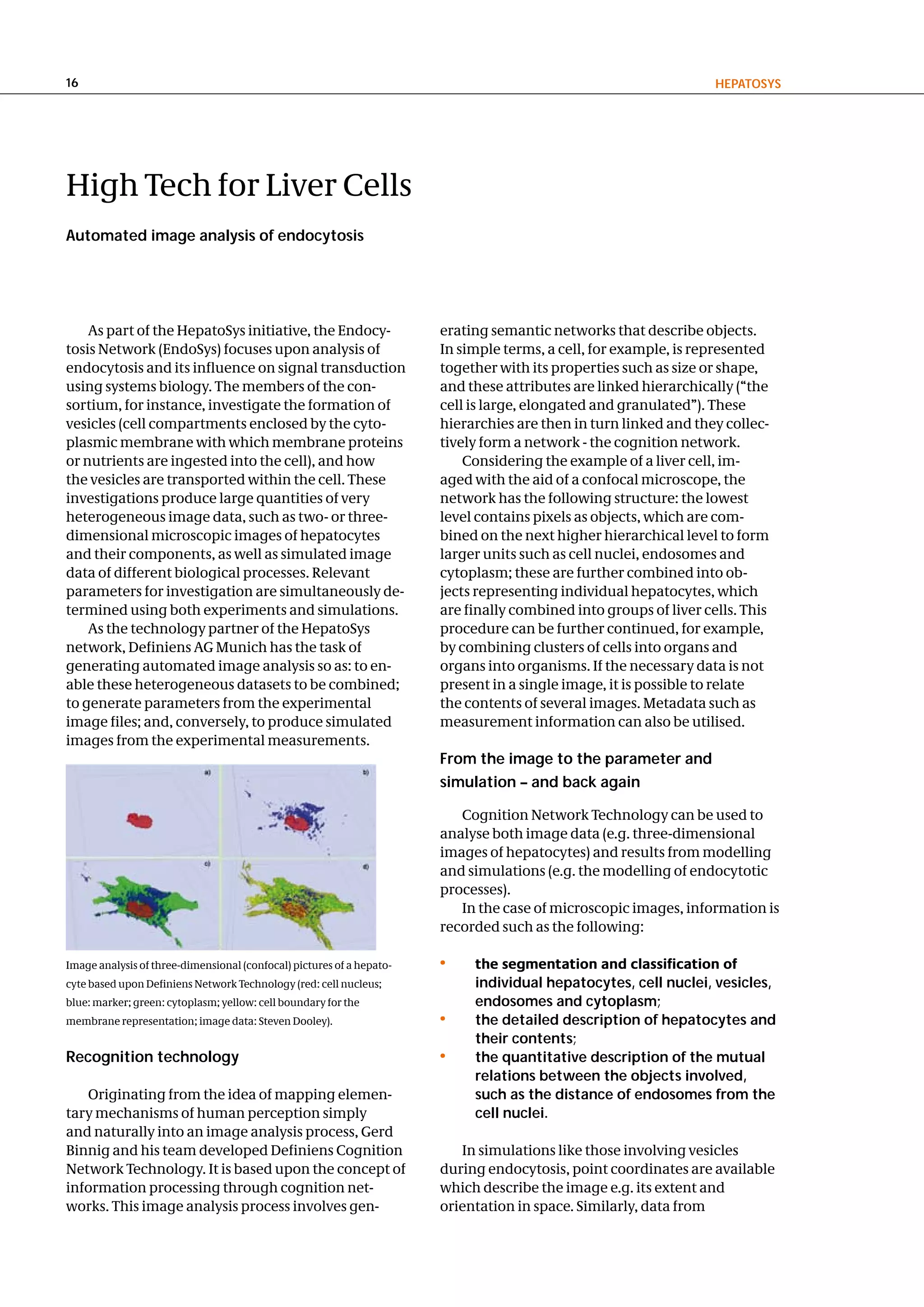 16                                                                                                                 hePatoSyS




High Tech for Liver Cells
automated image analysis of endocytosis




    As part of the HepatoSys initiative, the Endocy-                   erating semantic networks that describe objects.
tosis Network (EndoSys) focuses upon analysis of                       In simple terms, a cell, for example, is represented
endocytosis and its influence on signal transduction                   together with its properties such as size or shape,
using systems biology. The members of the con-                         and these attributes are linked hierarchically (“the
sortium, for instance, investigate the formation of                    cell is large, elongated and granulated”). These
vesicles (cell compartments enclosed by the cyto-                      hierarchies are then in turn linked and they collec-
plasmic membrane with which membrane proteins                          tively form a network - the cognition network.
or nutrients are ingested into the cell), and how                          Considering the example of a liver cell, im-
the vesicles are transported within the cell. These                    aged with the aid of a confocal microscope, the
investigations produce large quantities of very                        network has the following structure: the lowest
heterogeneous image data, such as two- or three-                       level contains pixels as objects, which are com-
dimensional microscopic images of hepatocytes                          bined on the next higher hierarchical level to form
and their components, as well as simulated image                       larger units such as cell nuclei, endosomes and
data of different biological processes. Relevant                       cytoplasm; these are further combined into ob-
parameters for investigation are simultaneously de-                    jects representing individual hepatocytes, which
termined using both experiments and simulations.                       are finally combined into groups of liver cells. This
    As the technology partner of the HepatoSys                         procedure can be further continued, for example,
network, Definiens AG Munich has the task of                           by combining clusters of cells into organs and
generating automated image analysis so as: to en-                      organs into organisms. If the necessary data is not
able these heterogeneous datasets to be combined;                      present in a single image, it is possible to relate
to generate parameters from the experimental                           the contents of several images. Metadata such as
image files; and, conversely, to produce simulated                     measurement information can also be utilised.
images from the experimental measurements.
                                                                       From the image to the parameter and
                                                                       simulation – and back again

                                                                          Cognition Network Technology can be used to
                                                                       analyse both image data (e.g. three-dimensional
                                                                       images of hepatocytes) and results from modelling
                                                                       and simulations (e.g. the modelling of endocytotic
                                                                       processes).
                                                                          In the case of microscopic images, information is
                                                                       recorded such as the following:

Image analysis of three-dimensional (confocal) pictures of a hepato-   •    the segmentation and classification of
cyte based upon Definiens Network Technology (red: cell nucleus;            individual hepatocytes, cell nuclei, vesicles,
blue: marker; green: cytoplasm; yellow: cell boundary for the               endosomes and cytoplasm;
membrane representation; image data: Steven Dooley).                   •    the detailed description of hepatocytes and
                                                                            their contents;
Recognition technology                                                 •    the quantitative description of the mutual
                                                                            relations between the objects involved,
   Originating from the idea of mapping elemen-                             such as the distance of endosomes from the
tary mechanisms of human perception simply                                  cell nuclei.
and naturally into an image analysis process, Gerd
Binnig and his team developed Definiens Cognition                         In simulations like those involving vesicles
Network Technology. It is based upon the concept of                    during endocytosis, point coordinates are available
information processing through cognition net-                          which describe the image e.g. its extent and
works. This image analysis process involves gen-                       orientation in space. Similarly, data from
 