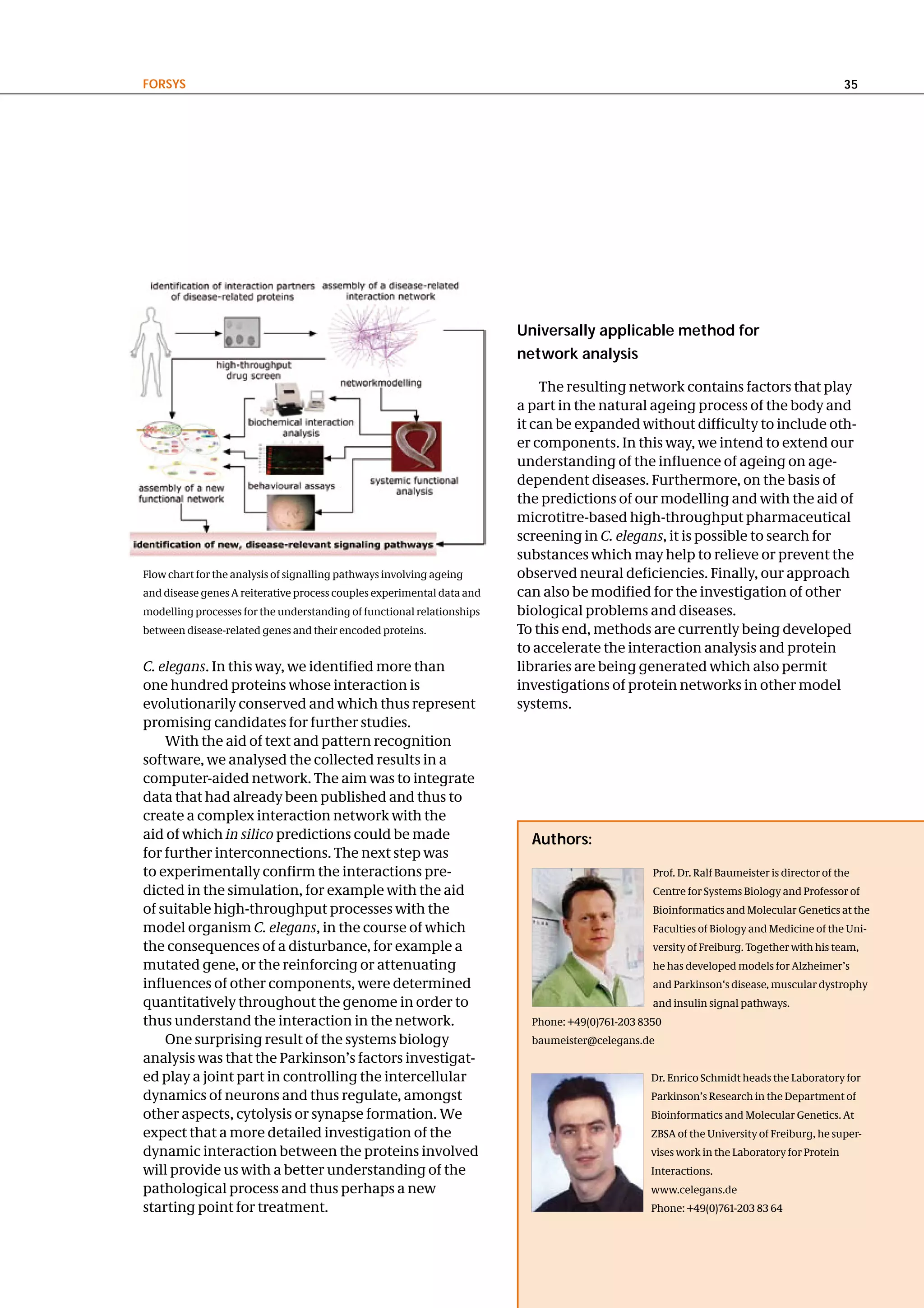 FoRSyS                                                                                                                                     35




                                                                        universally applicable method for
                                                                        network analysis

                                                                            The resulting network contains factors that play
                                                                        a part in the natural ageing process of the body and
                                                                        it can be expanded without difficulty to include oth-
                                                                        er components. In this way, we intend to extend our
                                                                        understanding of the influence of ageing on age-
                                                                        dependent diseases. Furthermore, on the basis of
                                                                        the predictions of our modelling and with the aid of
                                                                        microtitre-based high-throughput pharmaceutical
                                                                        screening in C. elegans, it is possible to search for
                                                                        substances which may help to relieve or prevent the
Flow chart for the analysis of signalling pathways involving ageing     observed neural deficiencies. Finally, our approach
and disease genes A reiterative process couples experimental data and   can also be modified for the investigation of other
modelling processes for the understanding of functional relationships   biological problems and diseases.
between disease-related genes and their encoded proteins.               To this end, methods are currently being developed
                                                                        to accelerate the interaction analysis and protein
C. elegans. In this way, we identified more than                        libraries are being generated which also permit
one hundred proteins whose interaction is                               investigations of protein networks in other model
evolutionarily conserved and which thus represent                       systems.
promising candidates for further studies.
    With the aid of text and pattern recognition
software, we analysed the collected results in a
computer-aided network. The aim was to integrate
data that had already been published and thus to
create a complex interaction network with the
aid of which in silico predictions could be made                          authors:
for further interconnections. The next step was
to experimentally confirm the interactions pre-                                                  Prof. Dr. Ralf Baumeister is director of the
dicted in the simulation, for example with the aid                                               Centre for Systems Biology and Professor of
of suitable high-throughput processes with the                                                   Bioinformatics and Molecular Genetics at the
model organism C. elegans, in the course of which                                                Faculties of Biology and Medicine of the Uni-
the consequences of a disturbance, for example a                                                 versity of Freiburg. Together with his team,
mutated gene, or the reinforcing or attenuating                                                  he has developed models for Alzheimer’s
influences of other components, were determined                                                  and Parkinson‘s disease, muscular dystrophy
quantitatively throughout the genome in order to                                                 and insulin signal pathways.
thus understand the interaction in the network.                           Phone: +49(0)761-203 8350
    One surprising result of the systems biology                          baumeister@celegans.de
analysis was that the Parkinson’s factors investigat-
ed play a joint part in controlling the intercellular                                           Dr. Enrico Schmidt heads the Laboratory for
dynamics of neurons and thus regulate, amongst                                                  Parkinson’s Research in the Department of
other aspects, cytolysis or synapse formation. We                                               Bioinformatics and Molecular Genetics. At
expect that a more detailed investigation of the                                                ZBSA of the University of Freiburg, he super-
dynamic interaction between the proteins involved                                               vises work in the Laboratory for Protein
will provide us with a better understanding of the                                              Interactions.
pathological process and thus perhaps a new                                                     www.celegans.de
starting point for treatment.                                                                   Phone: +49(0)761-203 83 64
 