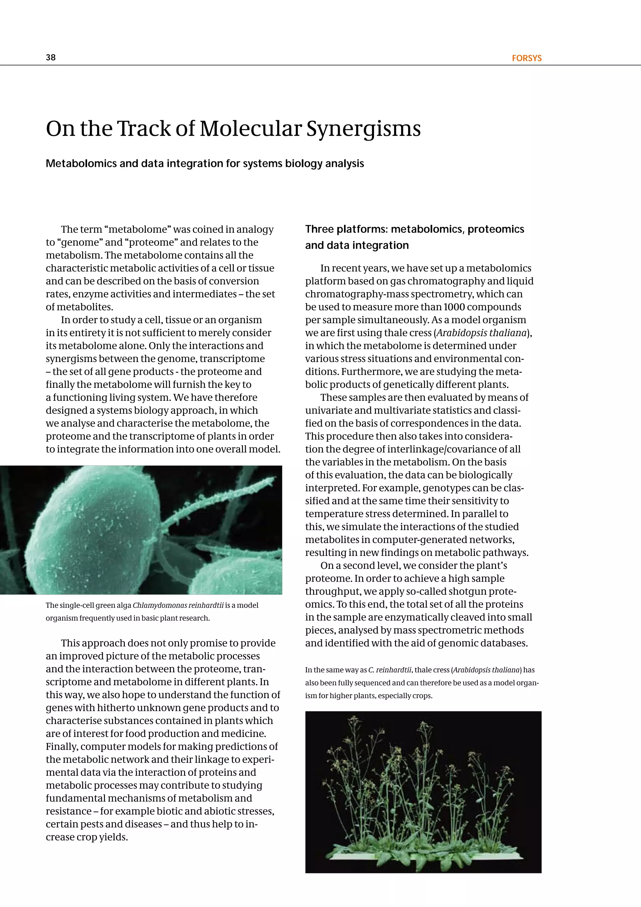 38                                                                                                                                 FoRSyS




On the Track of Molecular Synergisms
Metabolomics and data integration for systems biology analysis




    The term “metabolome” was coined in analogy                   three platforms: metabolomics, proteomics
to “genome” and “proteome” and relates to the                     and data integration
metabolism. The metabolome contains all the
characteristic metabolic activities of a cell or tissue               In recent years, we have set up a metabolomics
and can be described on the basis of conversion                   platform based on gas chromatography and liquid
rates, enzyme activities and intermediates – the set              chromatography-mass spectrometry, which can
of metabolites.                                                   be used to measure more than 1000 compounds
    In order to study a cell, tissue or an organism               per sample simultaneously. As a model organism
in its entirety it is not sufficient to merely consider           we are first using thale cress (Arabidopsis thaliana),
its metabolome alone. Only the interactions and                   in which the metabolome is determined under
synergisms between the genome, transcriptome                      various stress situations and environmental con-
– the set of all gene products - the proteome and                 ditions. Furthermore, we are studying the meta-
finally the metabolome will furnish the key to                    bolic products of genetically different plants.
a functioning living system. We have therefore                        These samples are then evaluated by means of
designed a systems biology approach, in which                     univariate and multivariate statistics and classi-
we analyse and characterise the metabolome, the                   fied on the basis of correspondences in the data.
proteome and the transcriptome of plants in order                 This procedure then also takes into considera-
to integrate the information into one overall model.              tion the degree of interlinkage/covariance of all
                                                                  the variables in the metabolism. On the basis
                                                                  of this evaluation, the data can be biologically
                                                                  interpreted. For example, genotypes can be clas-
                                                                  sified and at the same time their sensitivity to
                                                                  temperature stress determined. In parallel to
                                                                  this, we simulate the interactions of the studied
                                                                  metabolites in computer-generated networks,
                                                                  resulting in new findings on metabolic pathways.
                                                                      On a second level, we consider the plant’s
                                                                  proteome. In order to achieve a high sample
                                                                  throughput, we apply so-called shotgun prote-
The single-cell green alga Chlamydomonas reinhardtii is a model   omics. To this end, the total set of all the proteins
organism frequently used in basic plant research.                 in the sample are enzymatically cleaved into small
                                                                  pieces, analysed by mass spectrometric methods
    This approach does not only promise to provide                and identified with the aid of genomic databases.
an improved picture of the metabolic processes
and the interaction between the proteome, tran-                   In the same way as C. reinhardtii, thale cress (Arabidopsis thaliana) has
scriptome and metabolome in different plants. In                  also been fully sequenced and can therefore be used as a model organ-
this way, we also hope to understand the function of              ism for higher plants, especially crops.
genes with hitherto unknown gene products and to
characterise substances contained in plants which
are of interest for food production and medicine.
Finally, computer models for making predictions of
the metabolic network and their linkage to experi-
mental data via the interaction of proteins and
metabolic processes may contribute to studying
fundamental mechanisms of metabolism and
resistance – for example biotic and abiotic stresses,
certain pests and diseases – and thus help to in-
crease crop yields.
 