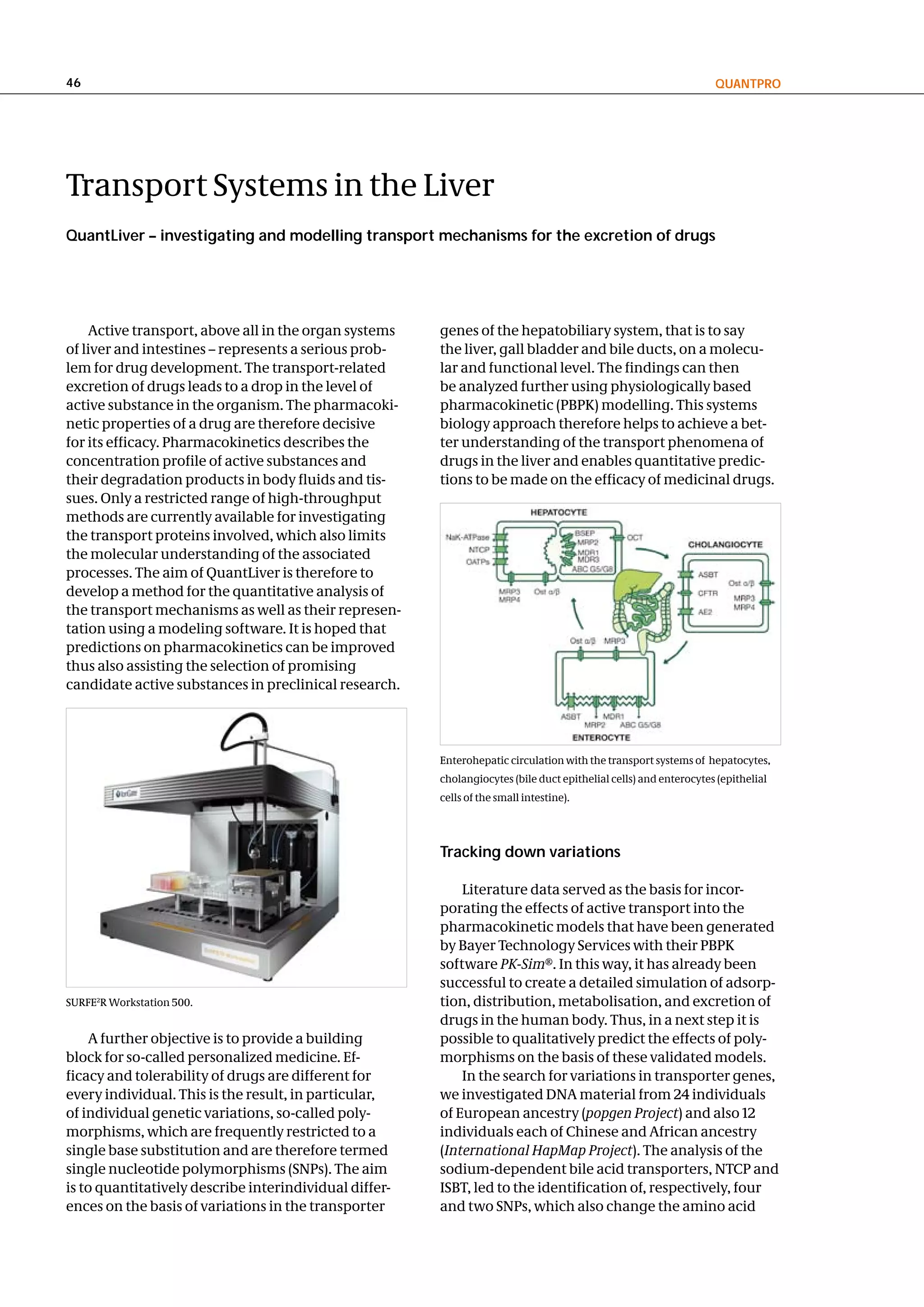46                                                                                                                 QuantPRo




Transport Systems in the Liver
Quantliver – investigating and modelling transport mechanisms for the excretion of drugs




    Active transport, above all in the organ systems    genes of the hepatobiliary system, that is to say
of liver and intestines – represents a serious prob-    the liver, gall bladder and bile ducts, on a molecu-
lem for drug development. The transport-related         lar and functional level. The findings can then
excretion of drugs leads to a drop in the level of      be analyzed further using physiologically based
active substance in the organism. The pharmacoki-       pharmacokinetic (PBPK) modelling. This systems
netic properties of a drug are therefore decisive       biology approach therefore helps to achieve a bet-
for its efficacy. Pharmacokinetics describes the        ter understanding of the transport phenomena of
concentration profile of active substances and          drugs in the liver and enables quantitative predic-
their degradation products in body fluids and tis-      tions to be made on the efficacy of medicinal drugs.
sues. Only a restricted range of high-throughput
methods are currently available for investigating
the transport proteins involved, which also limits
the molecular understanding of the associated
processes. The aim of QuantLiver is therefore to
develop a method for the quantitative analysis of
the transport mechanisms as well as their represen-
tation using a modeling software. It is hoped that
predictions on pharmacokinetics can be improved
thus also assisting the selection of promising
candidate active substances in preclinical research.




                                                        Enterohepatic circulation with the transport systems of hepatocytes,
                                                        cholangiocytes (bile duct epithelial cells) and enterocytes (epithelial
                                                        cells of the small intestine).




                                                        tracking down variations

                                                            Literature data served as the basis for incor-
                                                        porating the effects of active transport into the
                                                        pharmacokinetic models that have been generated
                                                        by Bayer Technology Services with their PBPK
                                                        software PK-Sim®. In this way, it has already been
                                                        successful to create a detailed simulation of adsorp-
SURFE2R Workstation 500.                                tion, distribution, metabolisation, and excretion of
                                                        drugs in the human body. Thus, in a next step it is
    A further objective is to provide a building        possible to qualitatively predict the effects of poly-
block for so-called personalized medicine. Ef-          morphisms on the basis of these validated models.
ficacy and tolerability of drugs are different for          In the search for variations in transporter genes,
every individual. This is the result, in particular,    we investigated DNA material from 24 individuals
of individual genetic variations, so-called poly-       of European ancestry (popgen Project) and also 12
morphisms, which are frequently restricted to a         individuals each of Chinese and African ancestry
single base substitution and are therefore termed       (International HapMap Project). The analysis of the
single nucleotide polymorphisms (SNPs). The aim         sodium-dependent bile acid transporters, NTCP and
is to quantitatively describe interindividual differ-   ISBT, led to the identification of, respectively, four
ences on the basis of variations in the transporter     and two SNPs, which also change the amino acid
 