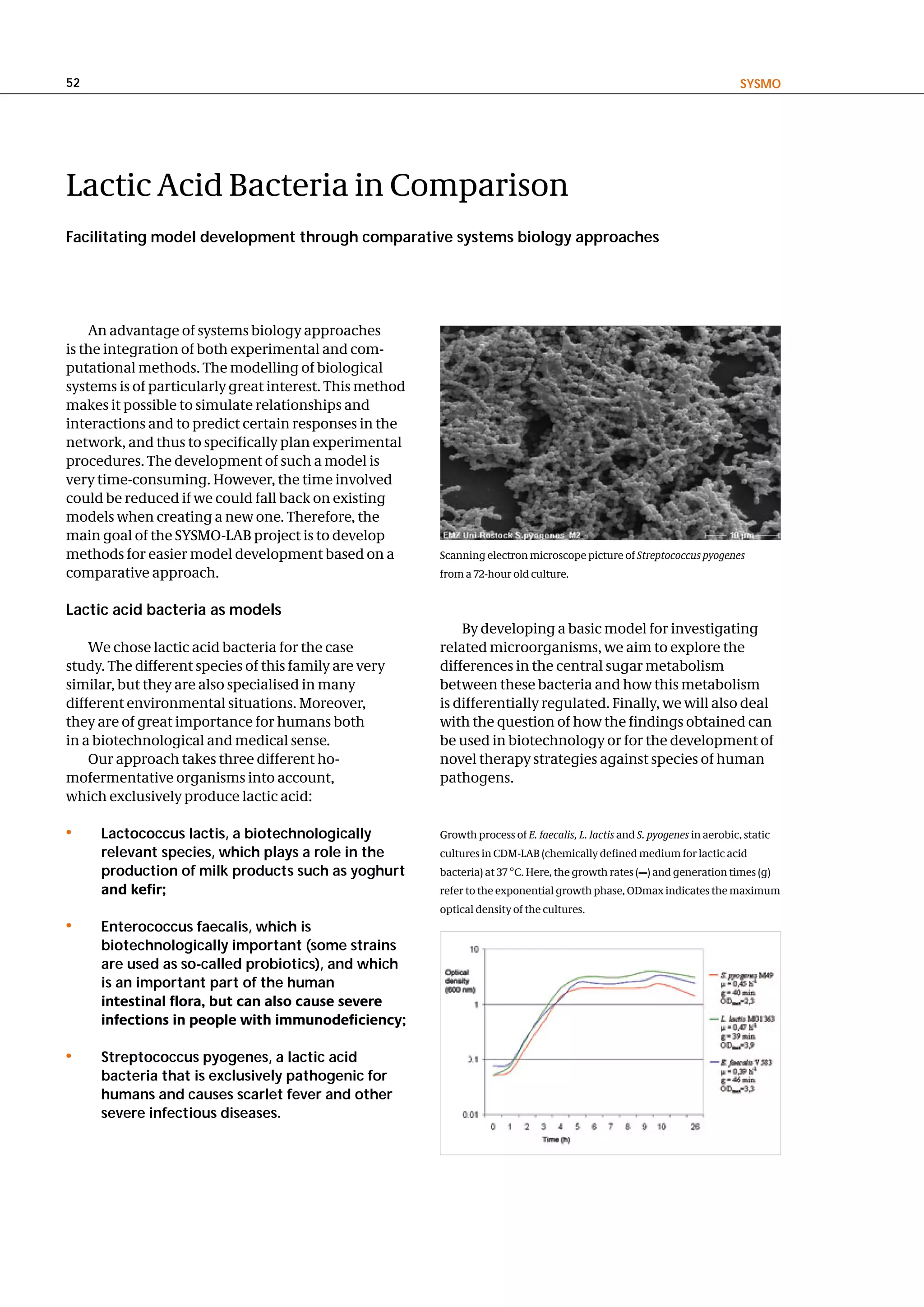52                                                                                                                           SySMo




Lactic Acid Bacteria in Comparison
Facilitating model development through comparative systems biology approaches




    An advantage of systems biology approaches
is the integration of both experimental and com-
putational methods. The modelling of biological
systems is of particularly great interest. This method
makes it possible to simulate relationships and
interactions and to predict certain responses in the
network, and thus to specifically plan experimental
procedures. The development of such a model is
very time-consuming. However, the time involved
could be reduced if we could fall back on existing
models when creating a new one. Therefore, the
main goal of the SYSMO-LAB project is to develop
methods for easier model development based on a          Scanning electron microscope picture of Streptococcus pyogenes
comparative approach.                                    from a 72-hour old culture.


lactic acid bacteria as models
                                                             By developing a basic model for investigating
    We chose lactic acid bacteria for the case           related microorganisms, we aim to explore the
study. The different species of this family are very     differences in the central sugar metabolism
similar, but they are also specialised in many           between these bacteria and how this metabolism
different environmental situations. Moreover,            is differentially regulated. Finally, we will also deal
they are of great importance for humans both             with the question of how the findings obtained can
in a biotechnological and medical sense.                 be used in biotechnology or for the development of
    Our approach takes three different ho-               novel therapy strategies against species of human
mofermentative organisms into account,                   pathogens.
which exclusively produce lactic acid:

•    lactococcus lactis, a biotechnologically            Growth process of E. faecalis, L. lactis and S. pyogenes in aerobic, static
     relevant species, which plays a role in the         cultures in CDM-LAB (chemically defined medium for lactic acid
     production of milk products such as yoghurt         bacteria) at 37 °C. Here, the growth rates (µ) and generation times (g)
     and kefir;                                          refer to the exponential growth phase, ODmax indicates the maximum
                                                         optical density of the cultures.
•    enterococcus faecalis, which is
     biotechnologically important (some strains
     are used as so-called probiotics), and which
     is an important part of the human
     intestinal flora, but can also cause severe
     infections in people with immunodeficiency;

•    Streptococcus pyogenes, a lactic acid
     bacteria that is exclusively pathogenic for
     humans and causes scarlet fever and other
     severe infectious diseases.
 