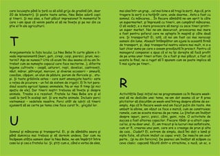 care locuiește până la țară ca să aibă grija de gradină (eh, doar
20 de kilometri). Și peste toate astea, Nea Bebe adoră copii
și tinerii. Și mai ales, a fost plăcut impresionat în momentul în
care i-am spus că venim peste el să ne învețe și pe noi din ce
știe el în ale agriculturii.
T
Aranjamentele la fața locului. La Nea Bebe în curte găsim o li-
vada impresionantă (meri, guti, cireși, caiși, piersici, pruni, nec-
tarini? Așa se nunesc? Uite că acum îmi dau seama că nu am în-
trebat cum se numește copacul care face nectarine…), diferite
legume cultivate – ceapă, usturori, roșii, dovelcei, castraveți,
năut, mărar, pătrunjel, morcovi, și diverse accesorii – zmeură,
coacăze, căpșuni, un alun de pădure, porum de floricele și… stu-
pi. Și toate grădinile astea – care sunt amenajate haotic- este
o rețea de picurare – un fel de sistem de irigații. Ei în tot para-
disul acesta agricol lipsesc animalele. Nu ar mai fi timp (și nici
spațiu de ele). Dar tinerii noștri trebuiau să învețe și despre
animale. Treaba s-a rezolvat. Fratele lui Nea Bebe are și el
casă la țară în același sat. Și are multe animale. Inclusiv porci
vietnamezi – vedetele noastre. Porci atât de iubiți că tinerii
ajunseră să se certe pe tema cine face curat în… grajdul lor.
U
Somnul și mâncarea și transportul. Ei, și de sâmbăta seara și
până duminica mai trebuia și să dormim undeva. Dar cum nu
încăpeam atâția oameni doar la Nea Bebe, ne-am împărțit între
casa lui și cea a fratelui lui. Și, știți cum e, când e vorba de ales,
mai ales într-un grup… cel mai bine e să tragi la sorți. Așa că, prin
tragere la sorți s-a hotărât care, unde doarme.. Asta a fost cu
somnul. Cu mâncarea…. În fiecare sâmbătă ne-am oprit la câte
un supermarket, și împreună cu tinerii, am cumpărat mâncarea.
O să vedeți, e o mare provocare să mergi cu zece tineri printr-
un super market. Noi ne-am descurcat, provocarea mai mare
a fost pentru șoferul care ne aștepta în mașină și câte două
ore. Și transportul? Ei, iată, că noi am fost cei mai norocoși
oameni din lume. Abosult întâmplător am ajuns la această firmă
de transport, și, deși transportul nostru valora mai mult, ni s-a
luat chiar suma pe care o aveam prevăzută în proiect. Pentru că
managerul companiei a spus că el nu își dorește să facă profit
de pe urma unor tineri orfani. Ce a fost și mai plăcut, a fost că
acesta la final, ne-a rugat să îi spunem cum se poate implica să
îi mai ajute pe tineri…
R
Activitățile Deși inițial noi ne programasem ca în fiecare week-
end să ne dedicăm unei teme, ne-am dat seama că ar fi prea
plictisitor să discutăm un week-end întreg despre albine de ex-
emplu. Așa că în fiecare week-end am facut puțin din toate. Am
umbalt la albine, am văzut ce face o matcă, cum se construiesc
ramele, cum se scoate mierea de pe rame. La Ștefan am învățat
despre iepuri, porci, pisici, câini, gaini, rațe. O activitate de
succes a fost altoirea copacilor. Fiecare tânăr și-a altoit copa-
cul lui, și nu doar unul… Ei, am trecut și la lucruri mai sofisticate,
cum ar fi, crearea unui pom, care are o creanga de prun și alta
de cais… Ciudat? Ei, extrem de simplu, dacă îmi dați o lamă și
niște folie, vă altoim imdiat ce copac vreți. De insecte am avut
parte… (și nu din fericire). De șoareci am învățat să scăpam cu
ceva clasic: capcană făcută dintr-o strachina, o nucă, un ac, o
 