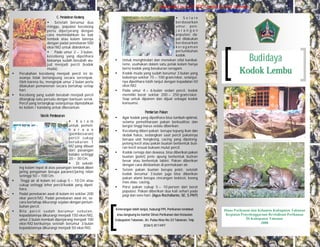 Generated by Foxit PDF Creator © Foxit Software 
http://www.foxitsoftware.com For evaluation only. 
Dinas Perikanan dan Kelautan Kabupaten Tabanan 
Kegiatan Penyelenggaraan Revitalisasi Perikanan 
Di Kabupaten Tabanan 
2008 
C. Pendederan Kecebong 
·  Setelah berumur dua 
minggu, populasi kecebong 
perlu diperjarang dengan 
cara memindahkan ke bak 
tembok atau kolam lainnya 
dengan padat penebaran 500 
ekor/M2 untuk didederkan. 
·  Pada umur 2 – 3 bulan, 
kecebong yang dipelihara 
biasanya sudah berubah wu-jud 
menjadi percil (kodok 
muda). 
·  Perubahan kecebong menjadi percil ini bi-asanya 
tidak berlangsung secara serempak. 
Oleh karena itu, menginjak umur 2 bulan perlu 
dilakukan pemanenan secara bertahap setiap 
hari. 
·  Kecebong yang sudah berubah menjadi percil 
ditangkap satu persatu dengan bantuan serok. 
Percil yang tertangkap selanjutnya dipindahkan 
ke kolam / kandang untuk dibesarkan. 
Teknik Pembesaran 
·  K o l a m 
untuk pemeli-h 
a r a a n 
(pembesaran) 
per ci l cukup 
berukuran 1 
M2 yang dibuat 
dari pasangan 
batako setinggi 
20 – 30 Cm. 
·  Di sekelil-ing 
kolam tepat di atas pasangan tembok diberi 
jaring pengaman berupa paranet/jaring nilon 
setinggi 50 – 100 Cm. 
·  Tinggi air di kolam ini cukup 5 – 10 Cm atau 
cukup setinggi leher percil/kodok yang dipeli-hara. 
·  Padat penebaran awal di kolam ini sekitar 200 
ekor percil/M2. Padat penebaran awal ini, se-cara 
bertahap dikurangi sejalan dengan pertum-buhan 
percil. 
·  Bi la per ci l sudah berumur sebulan, 
kepadatannya dikurangi menjadi 150 ekor/M2, 
umur 2 bulan kembali diperjarang menjadi 100 
ekor/M2 berikutnya setelah berumur 3 bulan 
kepadatannya dikurangi menjadi 50 ekor/M2. 
Budidaya 
Kodok Lembu 
·  S e l a i n 
berdasarkan 
umur , pen-j 
a r a n g a n 
populasi da-pat 
dilakukan 
berdasarkan 
k e r a g aman 
pertumbuhan 
kodok. 
·  Untuk menghindari dan menekan sifat kanibal-isme, 
usahakan dalam satu petak kolam hanya 
berisi kodok yang berukuran seragam. 
·  Kodok muda yang sudah berumur 3 bulan yang 
bobotnya sekitar 75 – 100 gram/ekor, selanjut-nya 
dipelihara lebih lanjut dengan kepadatan 50 
ekor/M2. 
·  Pada umur 4 – 6 bulan sedari percil, kodok 
memiliki berat sekitar 200 – 250 gram/ekor. 
Siap untuk dipanen dan dijual sebagai kodok 
konsumsi. 
Pemberian Pakan 
·  Agar kodok yang dipelihara bisa tumbuh optimal, 
selama pemeliharaan pakan berkualitas dan 
bergizi tinggi harus selalu diberikan. 
·  Kecebong diberi pakan berupa tepung ikan dan 
dedak halus, sedangkan saat percil pakannya 
berupa ulat hongkong, cacing yang dipotong-potong 
kecil atau pakan buatan berbentuk buti-ran 
kecil sesuai bukaan mulut percil. 
·  Kodok remaja dan dewasa, bisa diberikan pakan 
buatan (pelet) jenis apung berbentuk butiran 
besar atau berbentuk tablet. Pakan diberikan 
dengan cara ditebarkan di permukaan air. 
·  Selain pakan buatan berupa pelet, setelah 
kodok berumur 3 bulan juga bisa diberikan 
pakan alami berupa cincangan bekicot, keong 
mas atau cacing, 
·  Porsi pakan cukup 5 – 10 persen dari berat 
populasi. Pakan diberikan dua kali sehari pada 
pagi dan sore hari. (Agus Rochdianto, SE, S.PKP) 
Keterangan lebih lanjut, hubungi PPL Perikanan terdekat 
atau langsung ke kantor Dinas Perikanan dan Kelautan 
Kabupaten Tabanan, Jln. Pulau Nias No.33 Tabanan, Telp 
(0361) 811497 
