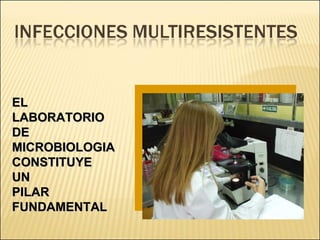 Brote Hospitalario de Infecciones Multirresistentes
