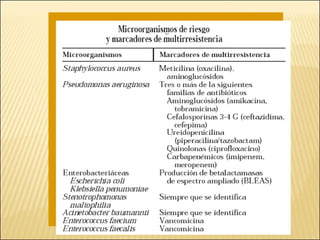 Brote Hospitalario de Infecciones Multirresistentes