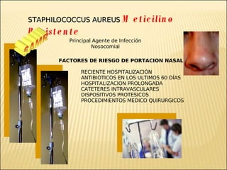 Brote Hospitalario de Infecciones Multirresistentes