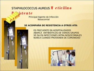 Brote Hospitalario de Infecciones Multirresistentes