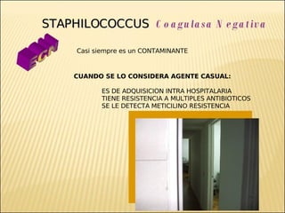 Brote Hospitalario de Infecciones Multirresistentes