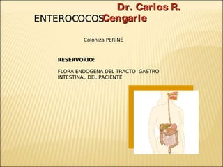 Brote Hospitalario de Infecciones Multirresistentes
