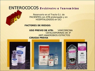 Brote Hospitalario de Infecciones Multirresistentes