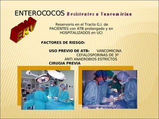 Brote Hospitalario de Infecciones Multirresistentes