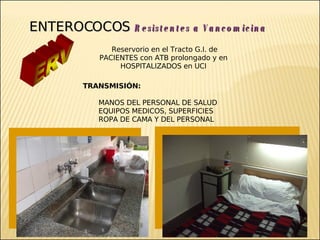 Brote Hospitalario de Infecciones Multirresistentes