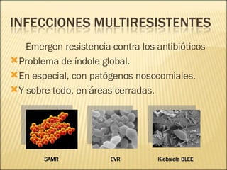 Brote Hospitalario de Infecciones Multirresistentes