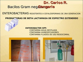 Brote Hospitalario de Infecciones Multirresistentes